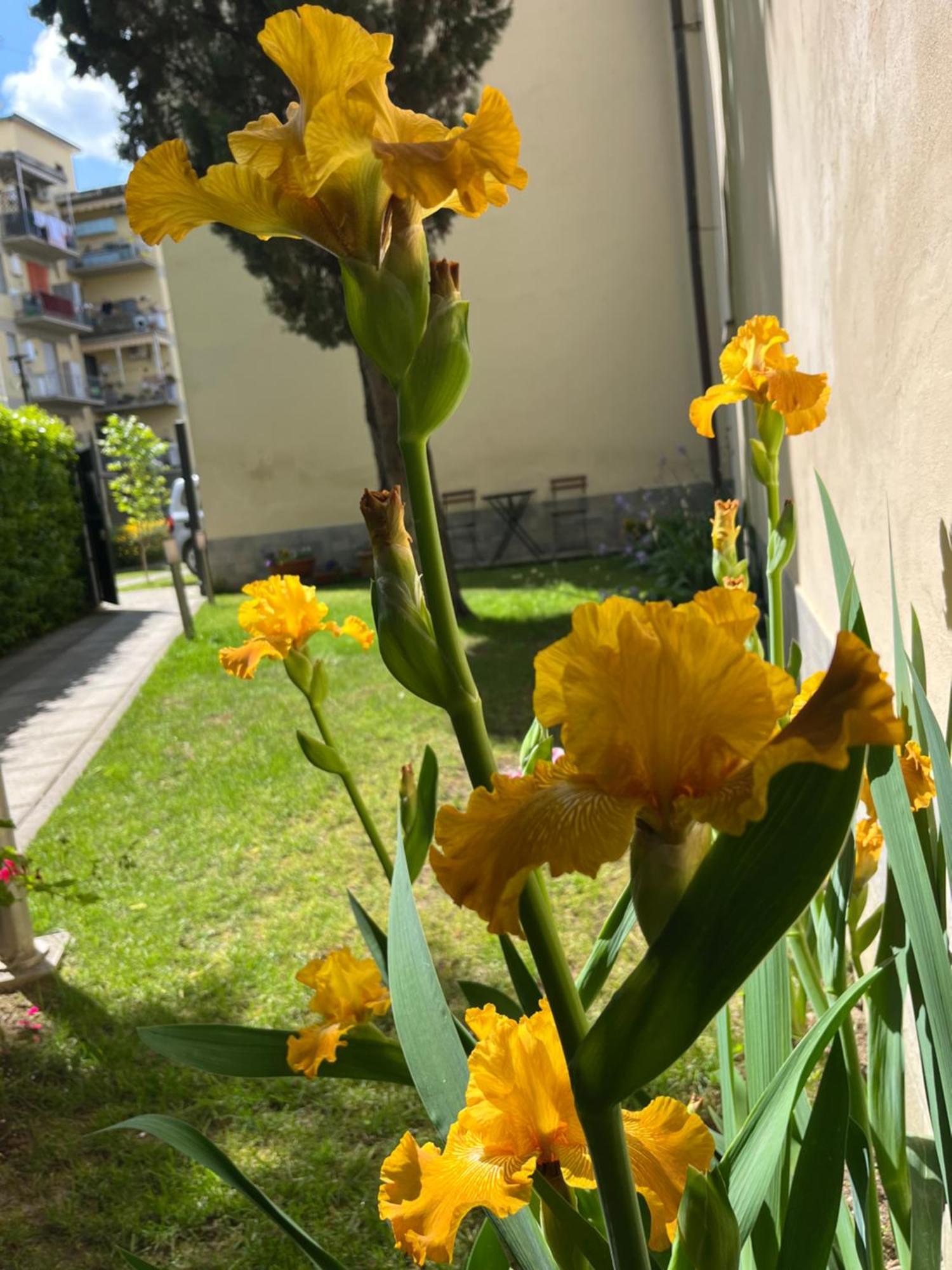 Dalu Florence Apartment Davide - Private Car Park 15 Minutes To The City Center Екстериор снимка